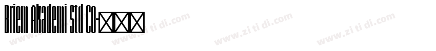 Briem Akademi Std Co字体转换